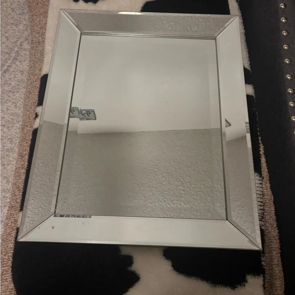 Elegant Silver Wall Mirror